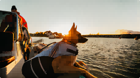 谷歌浏览器对于日本亚马逊无法访问的解决办法